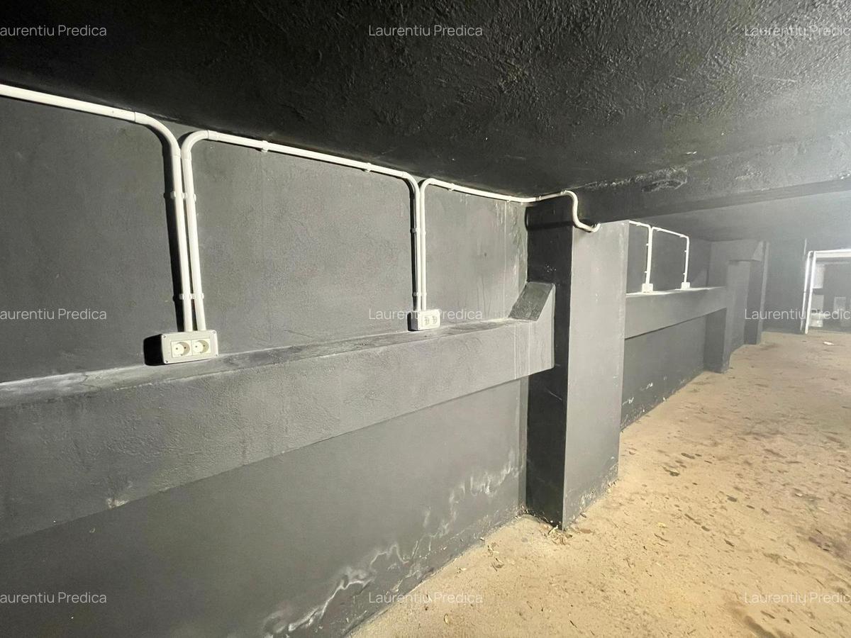 Spațiu industrial  – Zona Victoriei – Str. Teodosie Rudeanu nr. 41, - 9