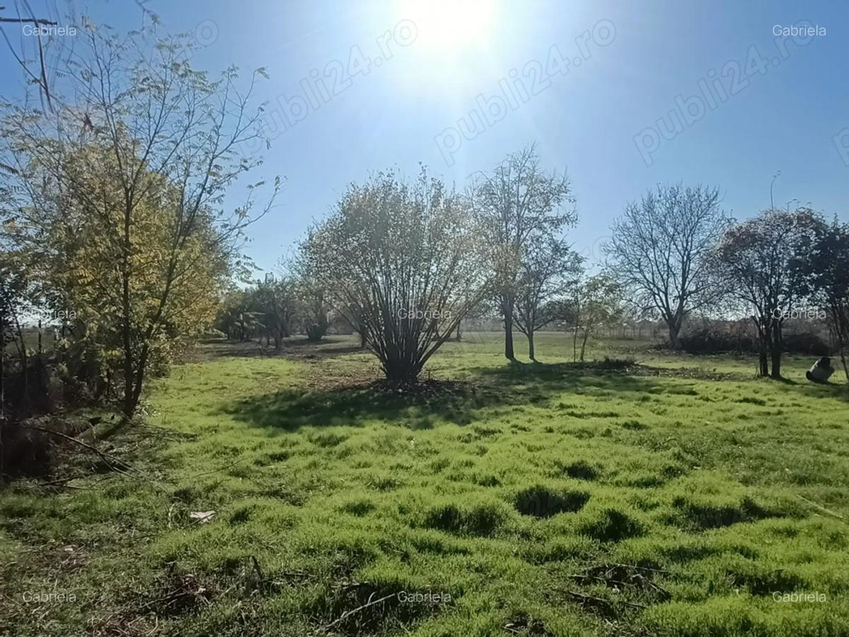 Oaza de liniste: Proprietate generoasa cu poten?ial de Investi?ie Locuin?a - 10