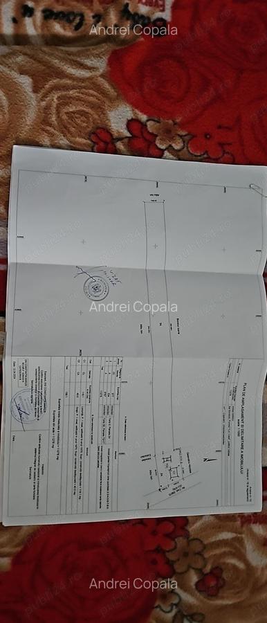 Casa batraneasca +pamant - 1