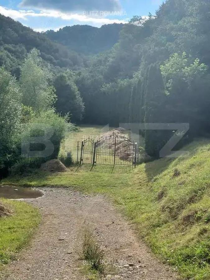 Casa de Vacan?a pe Valea Ighielului 3 camere, 2500 mp curte - 10