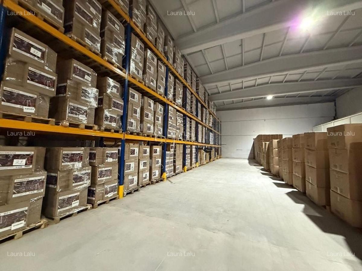 De Vanzare Hala Industrială Modernă - Oportunitate Unică în Sector 3 - 8