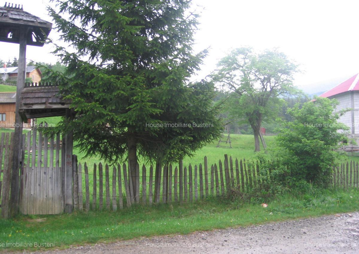 Teren intravilan Valea Doftanei - 7