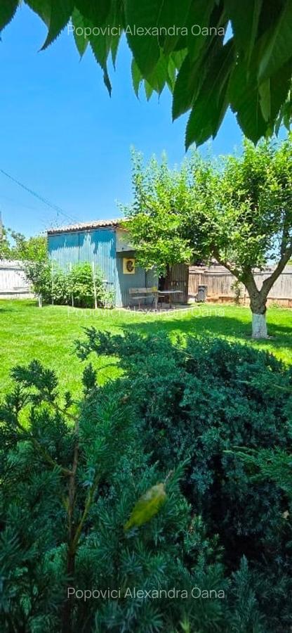 Teren Superb - Branesti, Pasarea - 5