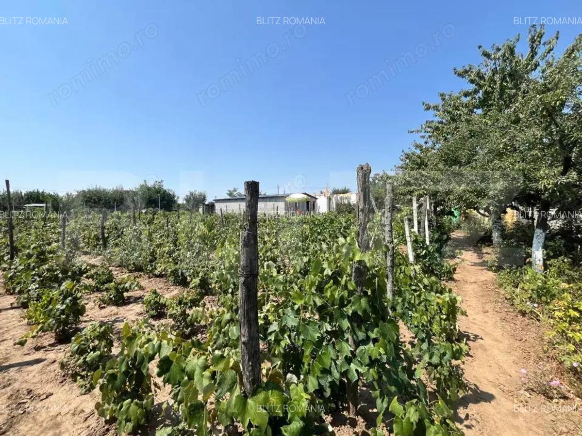 Proprietate formata din doua case si 1087 mp teren, zona Carcea - 5