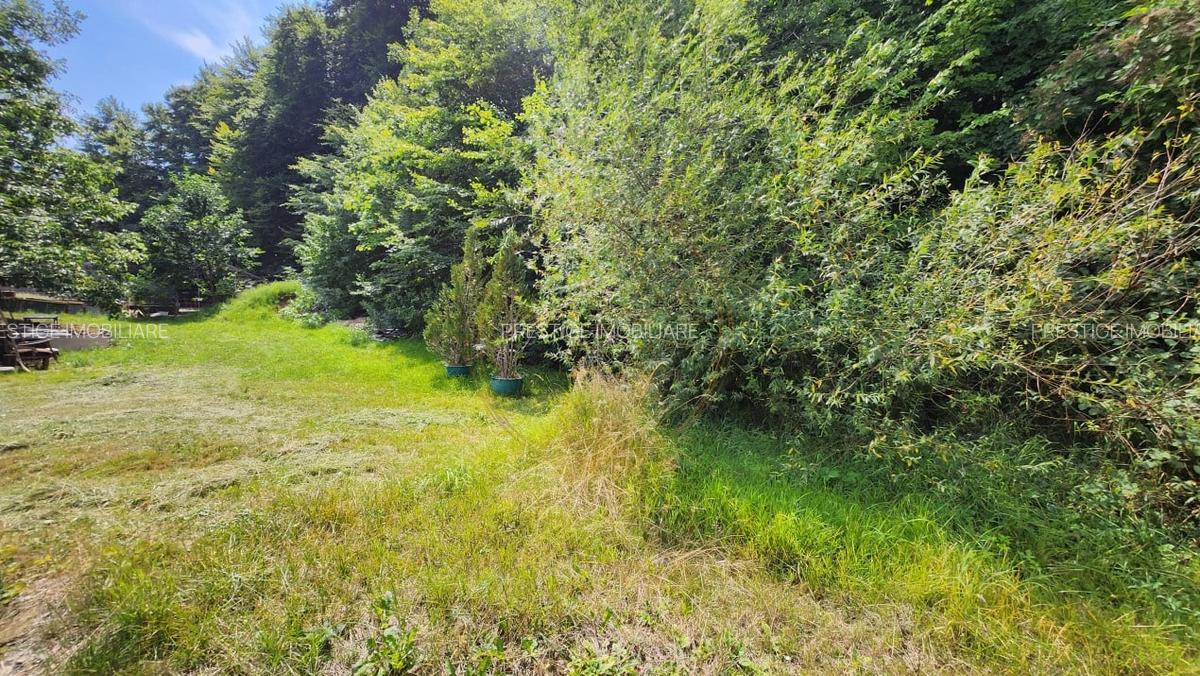 Teren intravilan, 1195mp, utilitati, la liziera padurii, parau, Faget - 1