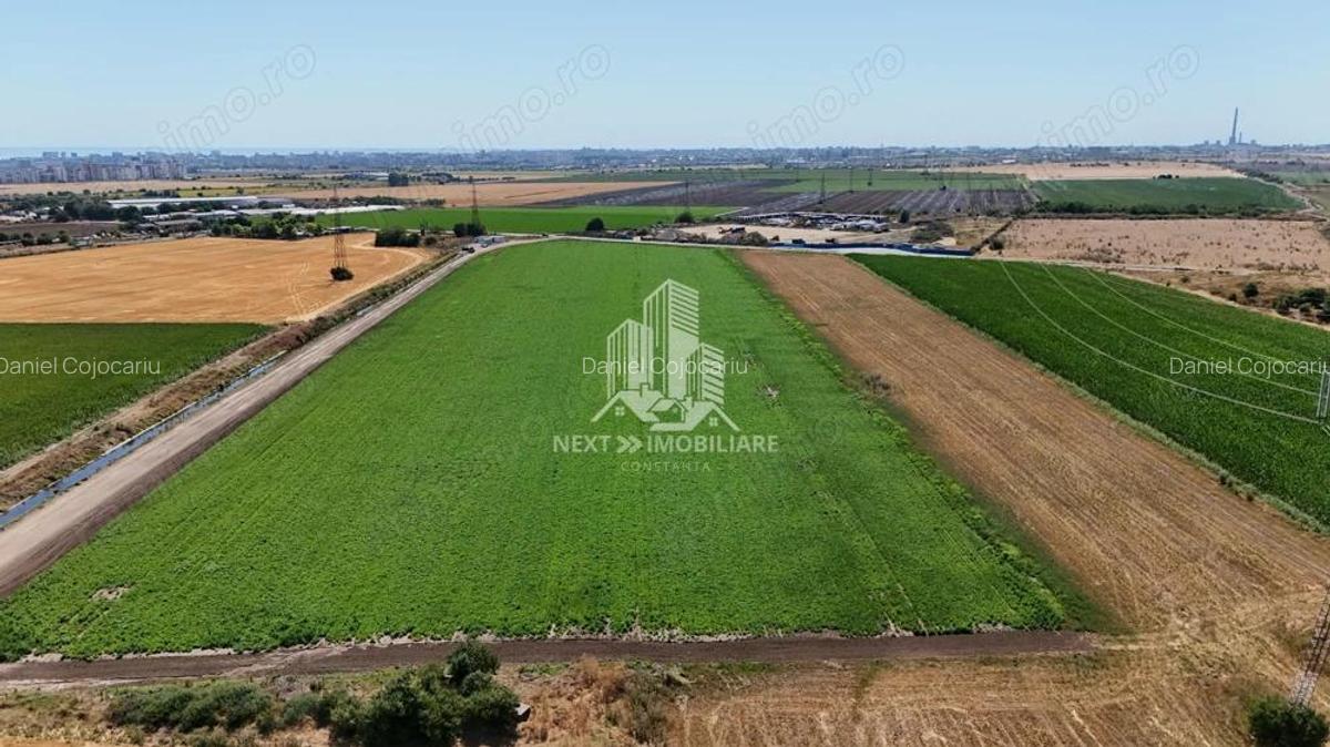 Teren extravilan 28.405mp Poiana - 4