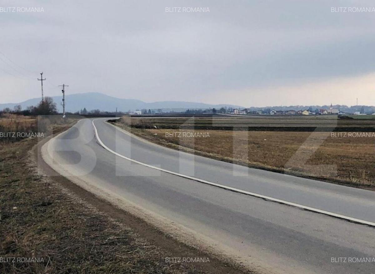 Teren extravilan de vanzare, 30.000 mp, cu potential de con - 6