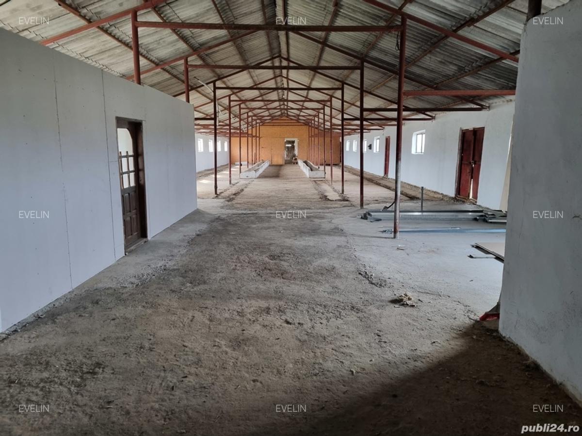 Hala Depozit de inchiriat - 4