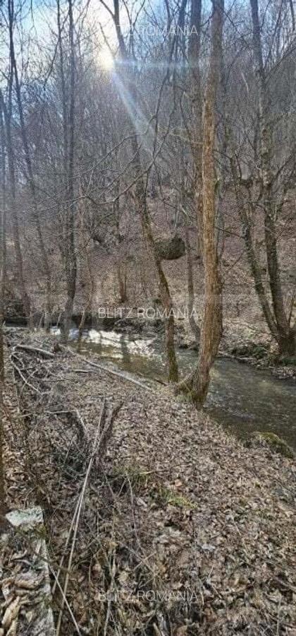 Casa in inima naturii, 140 mp la doar 15 minute de Hunedoara - 16