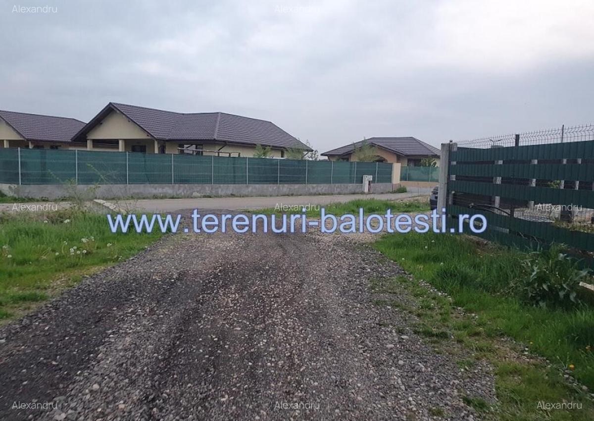 Teren Balotesti,langa case noi-50 m de asfalt 600mp - 17
