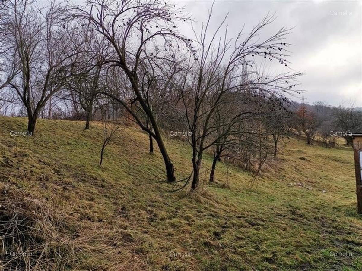 Casă cu 3500 mp Teren, Schitu-Golești, Argeș! - 5
