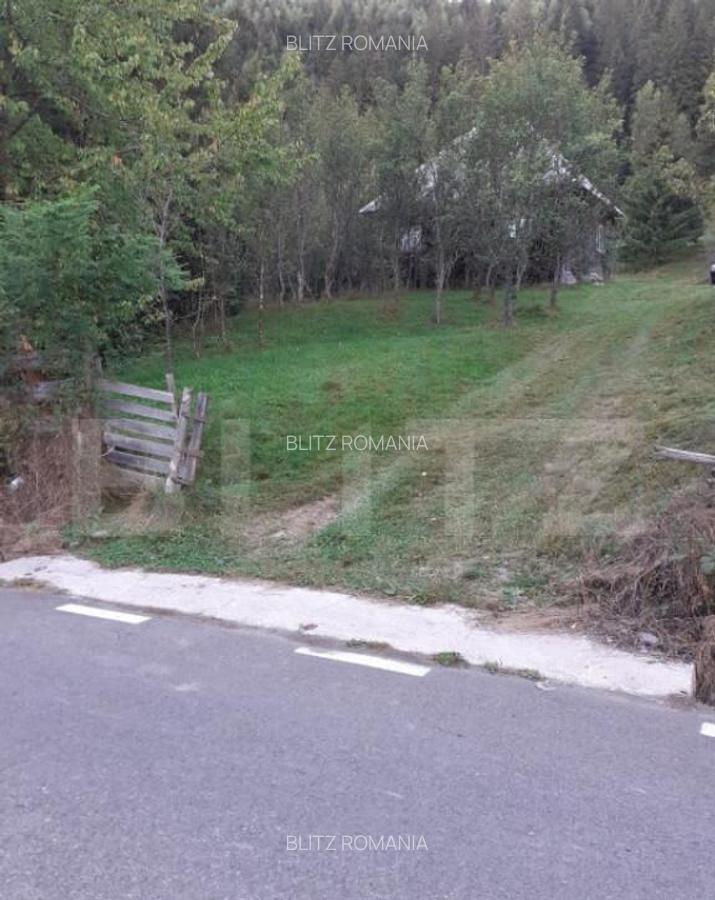 Casa la munte, cu teren 13383 mp, zona Horea - Apuseni - 7