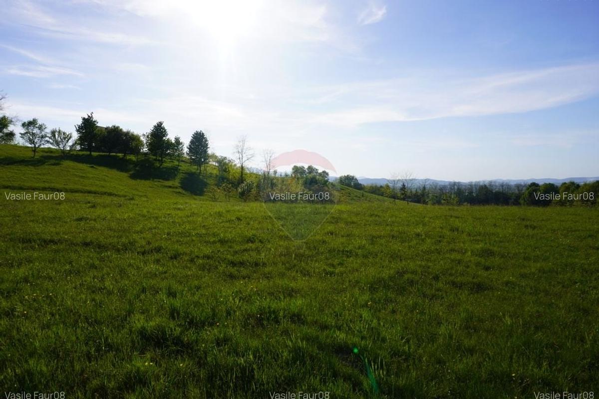 Teren 15,000mp Sighetu Marmatiei / Strada Mocanitei - 11