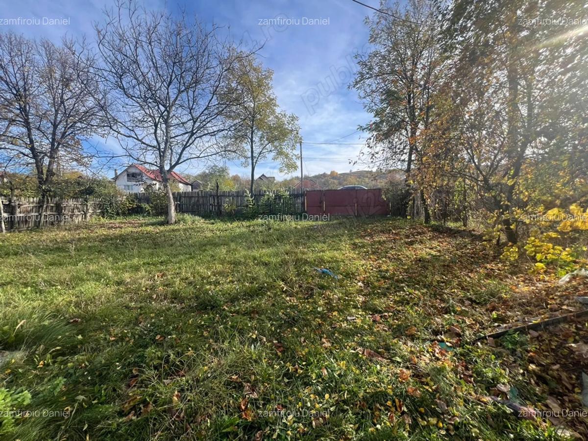 Vand casa in Berbesti. - 6