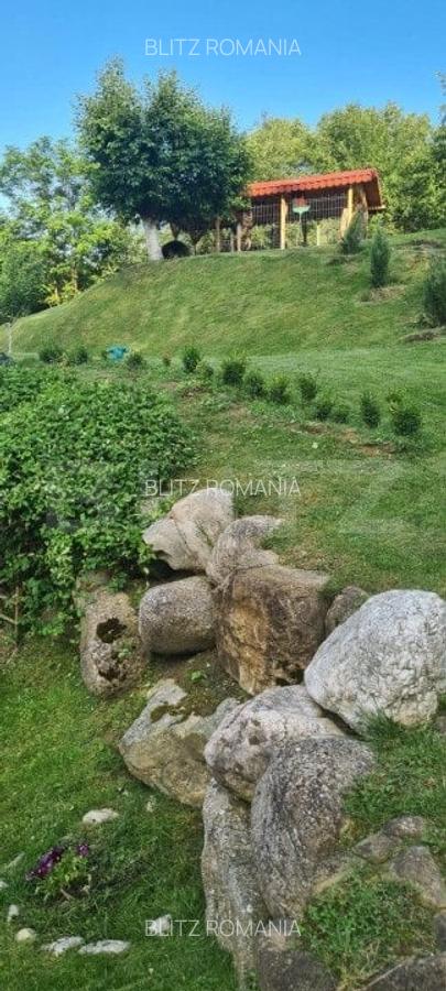 Vila 7 camere, 240mp, 1253mp teren, Fieni - 13