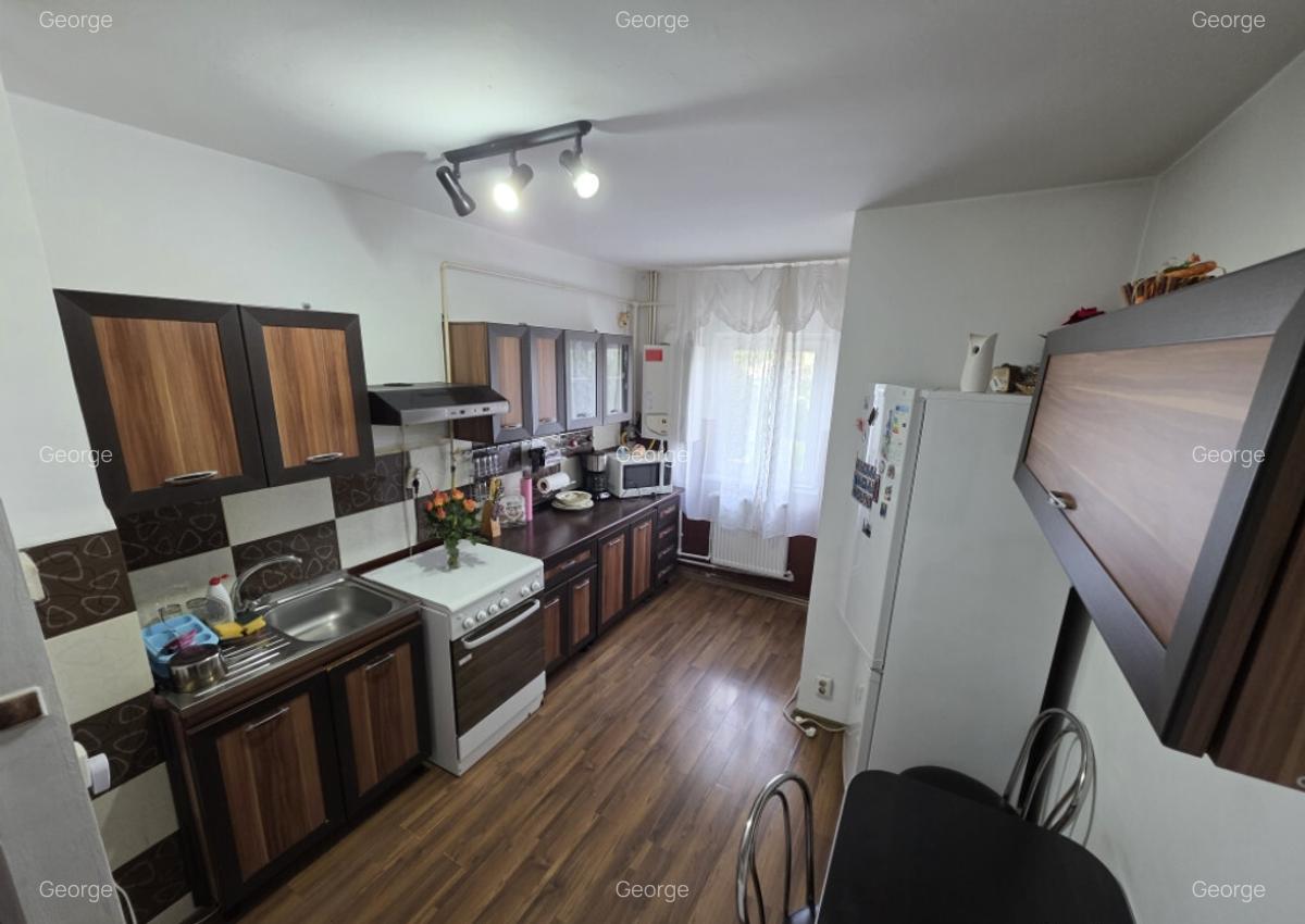 Apartament 3 camere strada Viitorului - 2