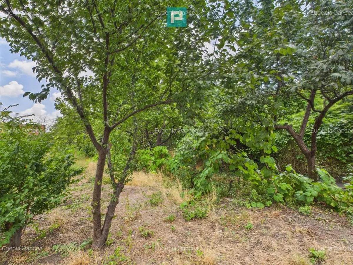 Teren 1.484 mp in zona Iosefin - 7