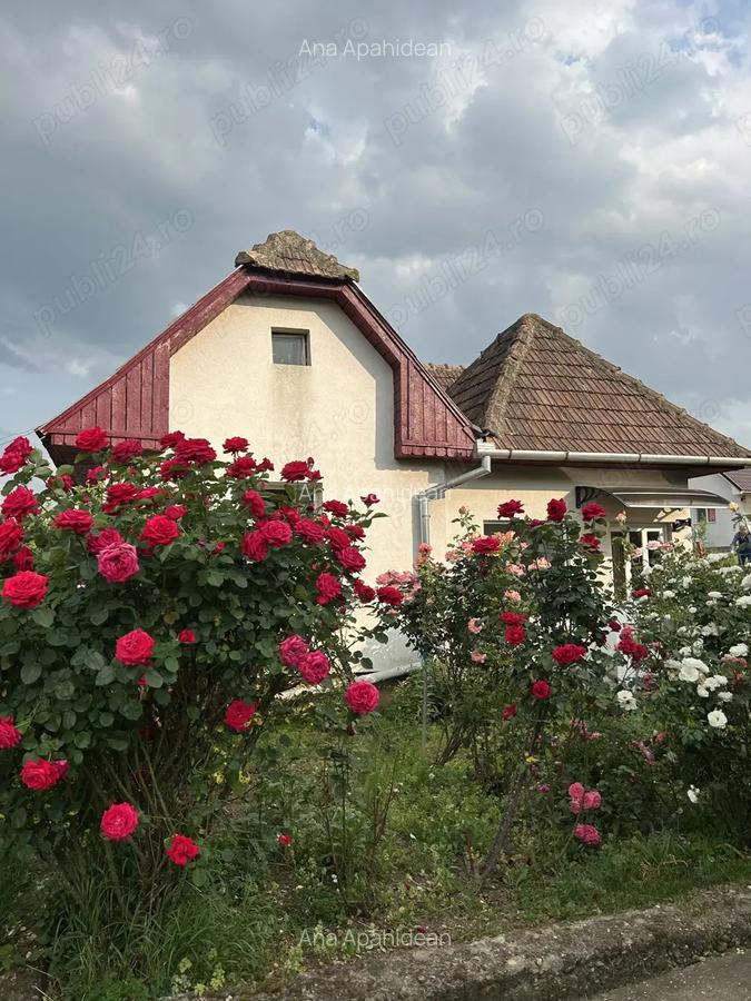 Casa de vanzare in Viisoara - 2
