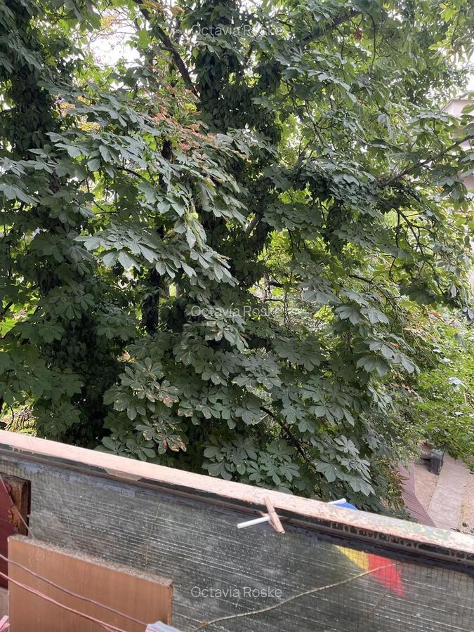 VAND APARTAMENT 2 CAMERE, UNIVERSITATE - 2