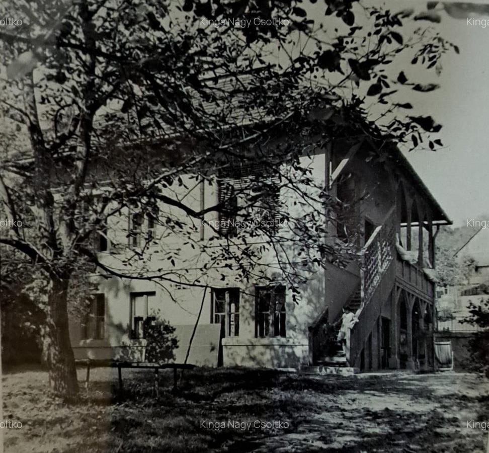 De vânzare – Apartament cu teren generos în cartierul Grigorescu, strada Donath - 16