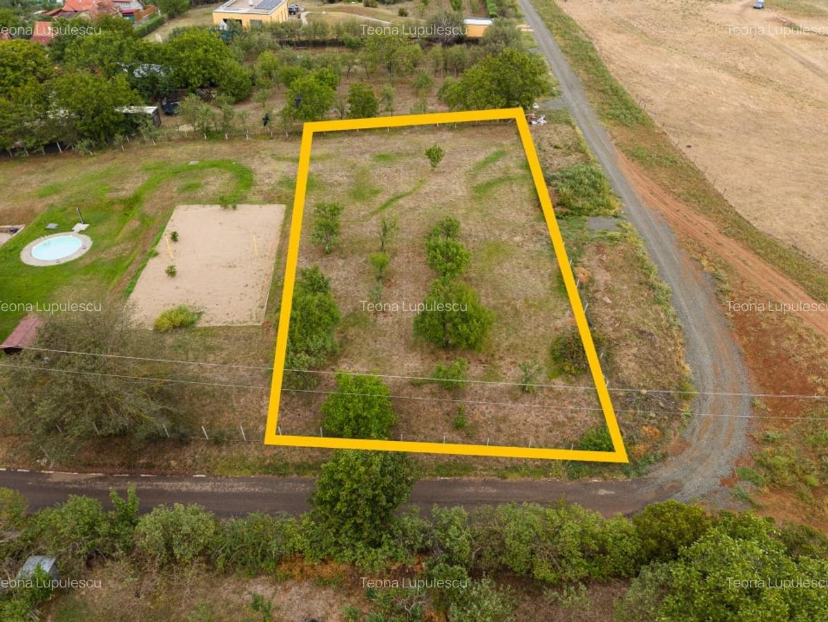 Teren intravilan 1584 mp in Murani - ideal pentru casa sau pensiune - 9