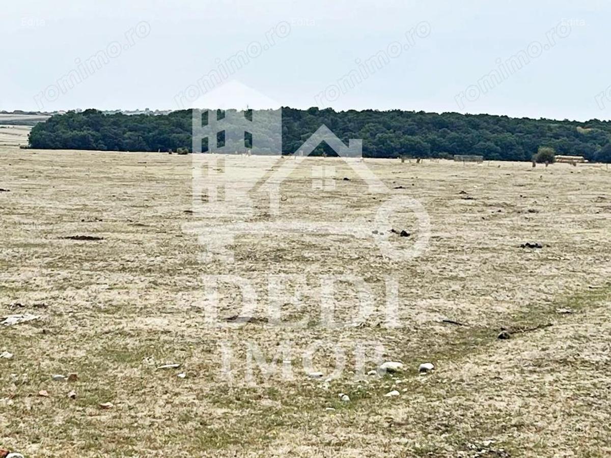 Teren intravilan de vanzare in Cihei, Bihor - 3