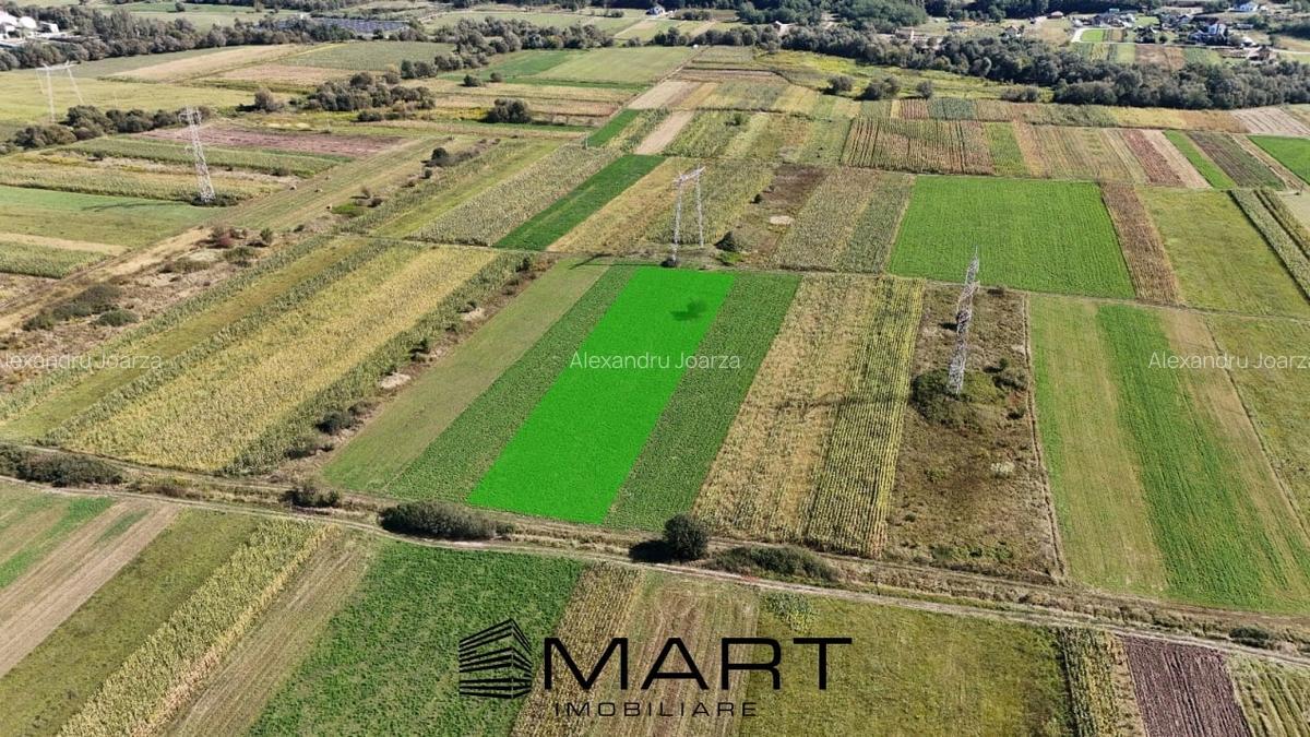 Teren extravilan de vanzare -5000 mp, Șelimbar (Mohu) - 3