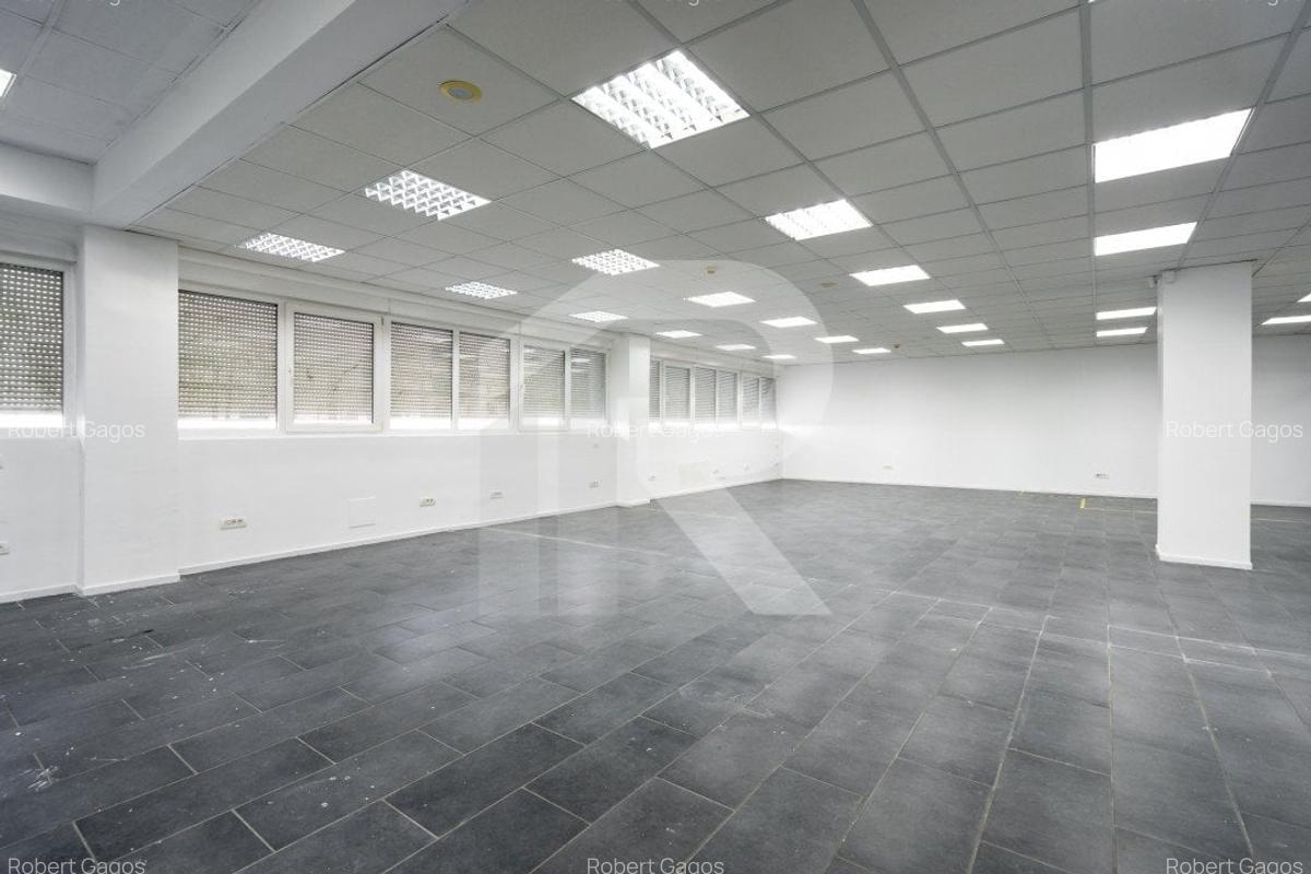 CHIAJNA-DEPOZIT LIDL, BIROURI 2300 MP SI HALA 2750 MP, TEREN 7500 MP. - 15