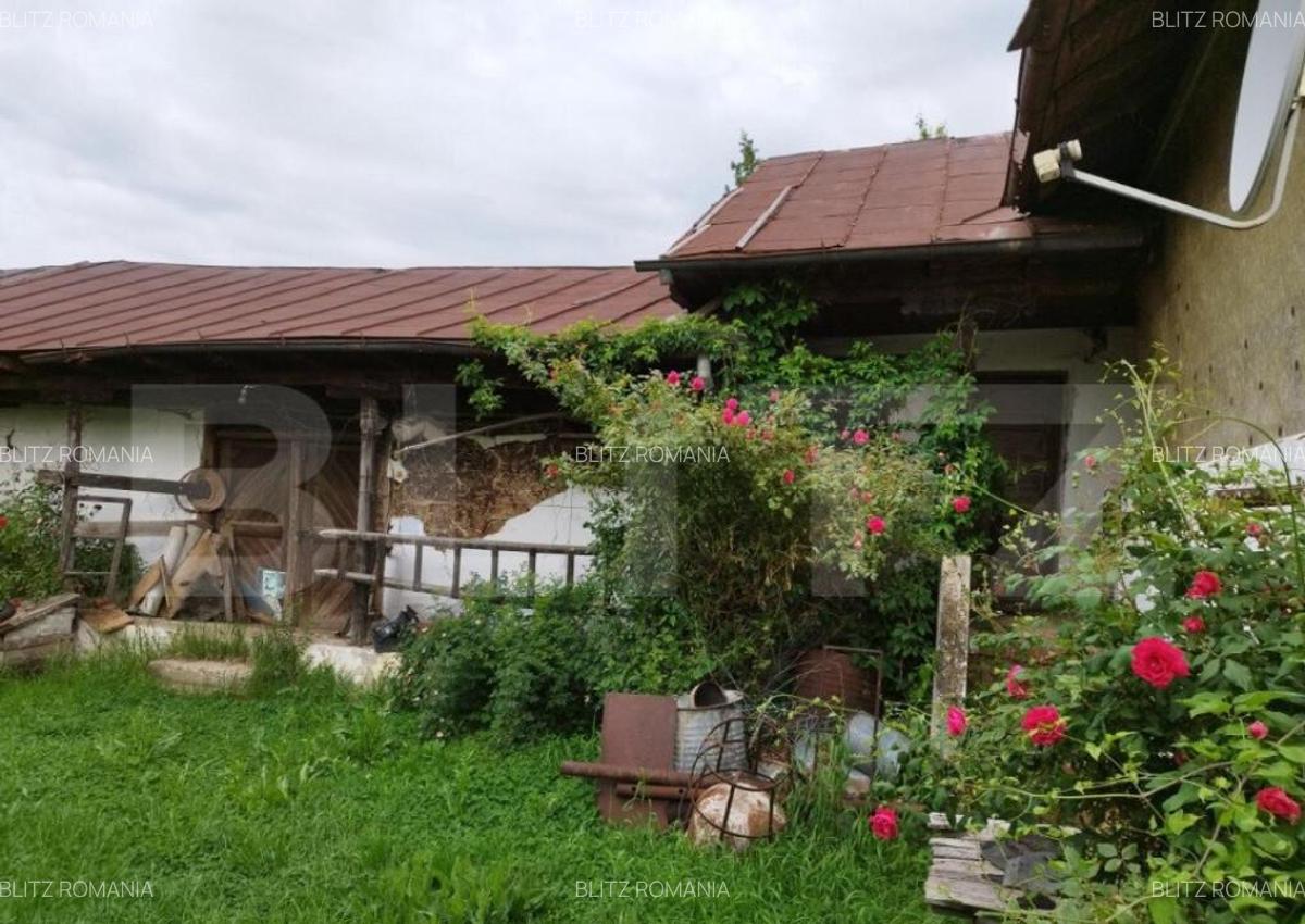 Casa individuala cu crama, teren 6700mp, Plopu - 4