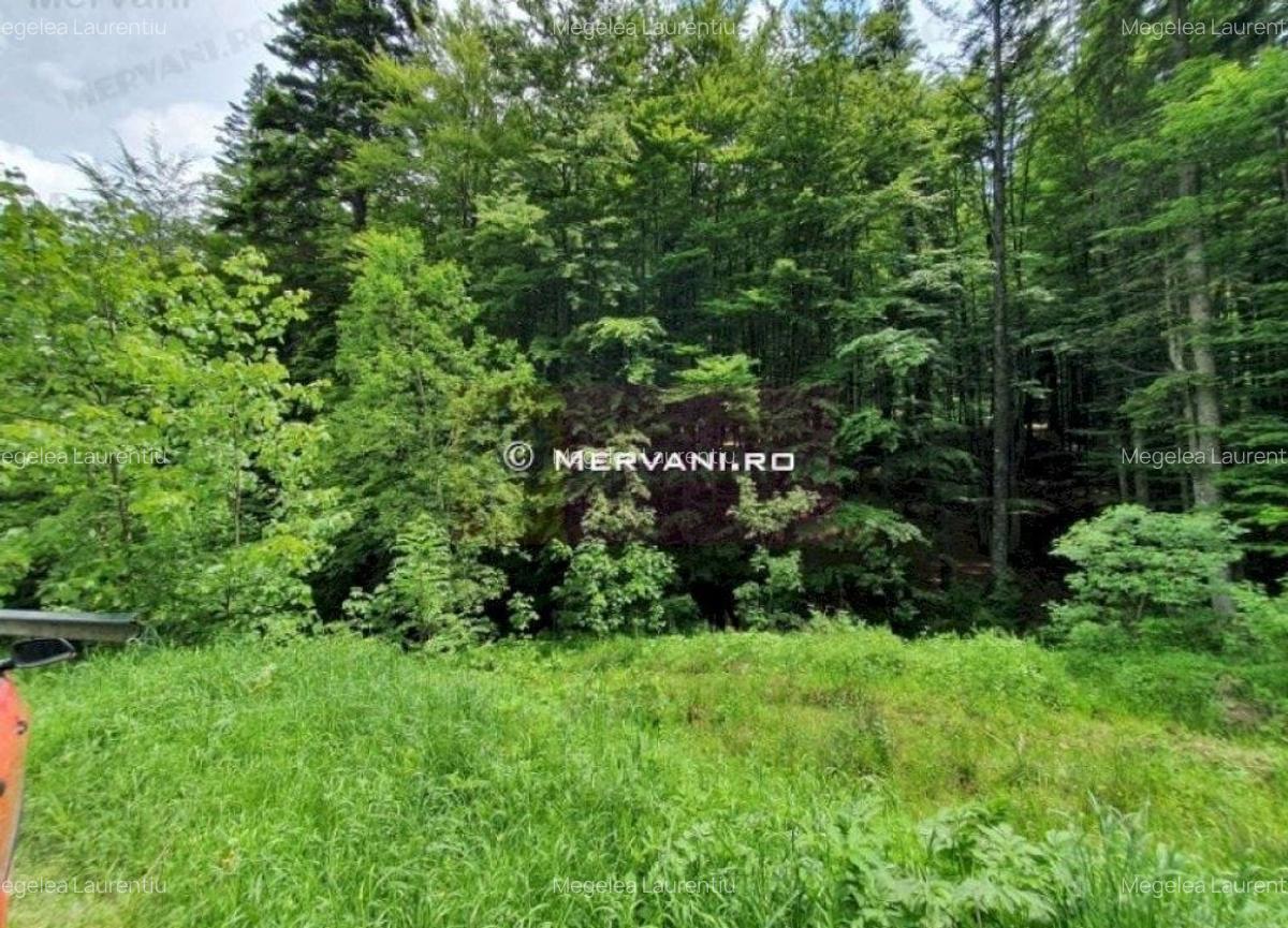 Teren intravilan de vanzare in Sinaia - Zona Furnica - 5