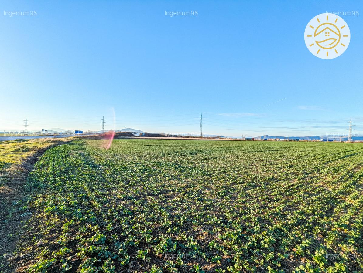 Teren intravilan 22800mp la 2km de Parcul Industrial Prejmer - 2