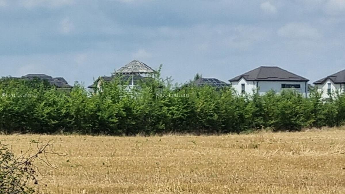 Vanzare Teren intravilan Balotesti Saftica 10000mp - 4