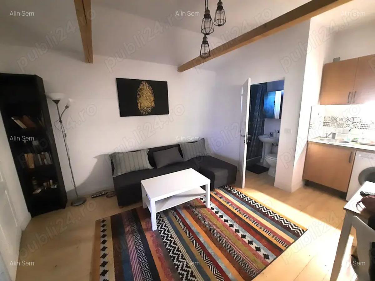 Cabana Insula Mures | 3 insule | cu iesire la Mures - 1