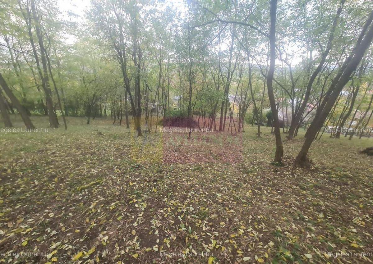 Casa batraneasca cu teren (4.910 mp) la Alunis - 15