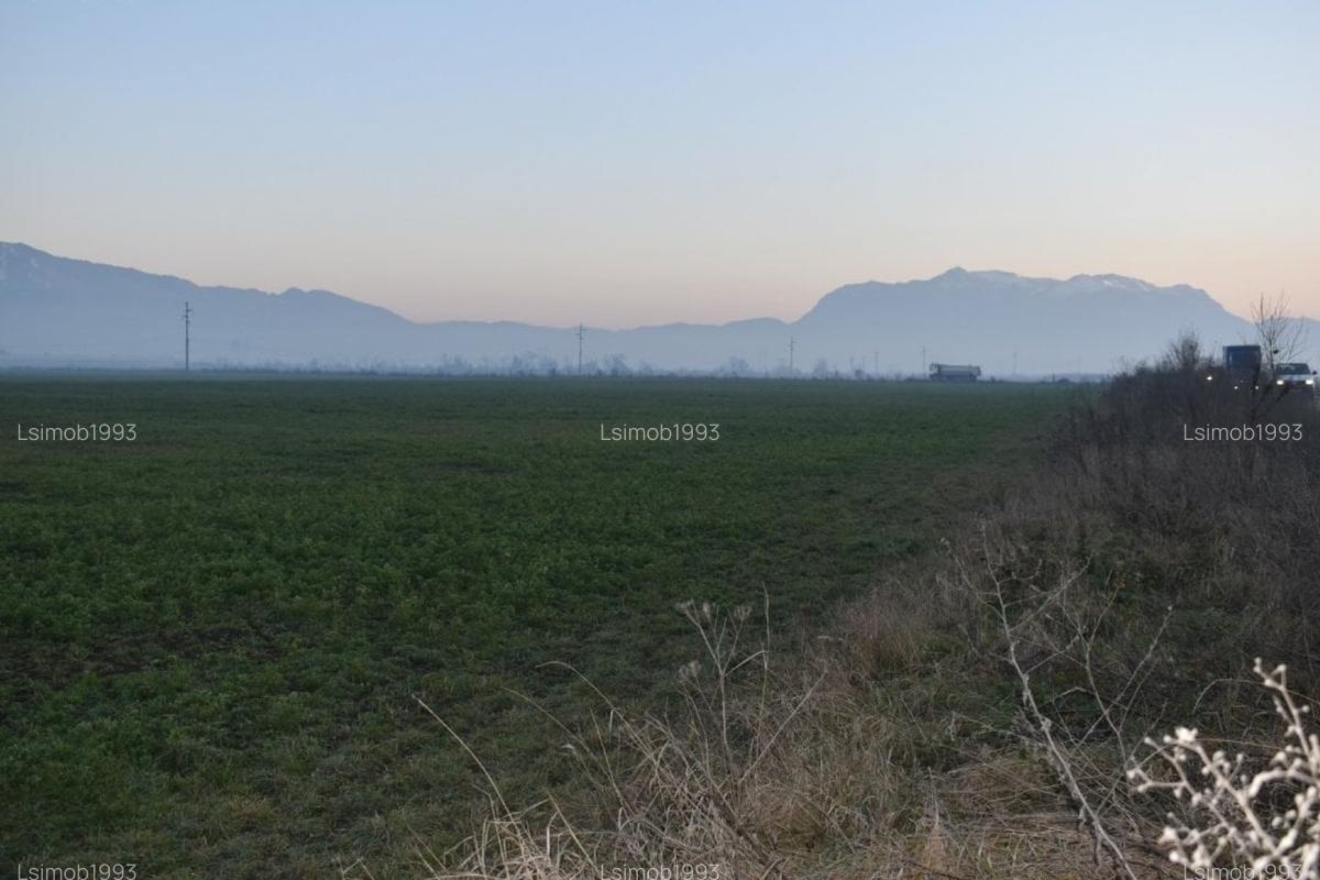 Vând teren intravilan  excelent pentru constructii industriale  în Codlea - 3