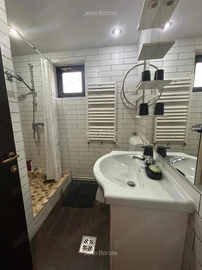 Apartament tip open space cu 2 camere de inchiriat zona Nova vita - 9
