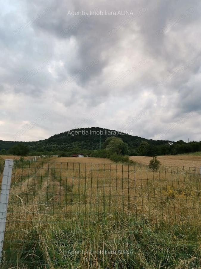 Teren intravilan 1.621 mp la intrare in Satul Almasu Sec din Comuna Carjiti, Jud. Hunedoara. - 2