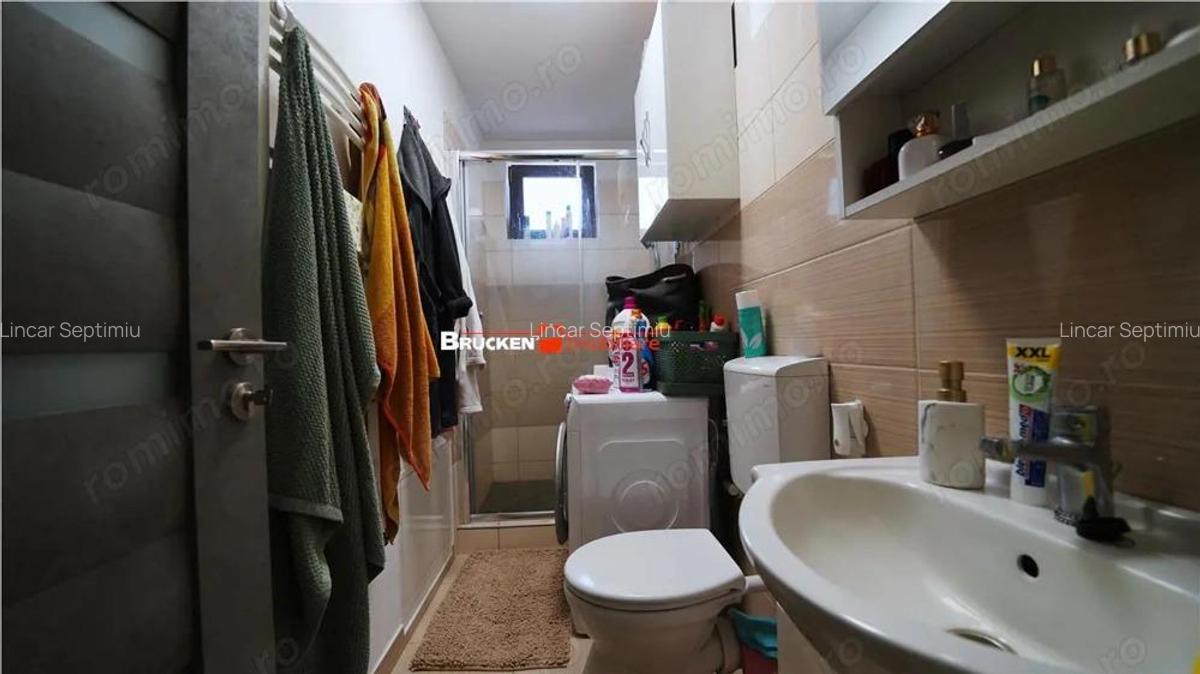 Sanmartin - Vila cu 3 apartamente si potential de inchiriere - 7