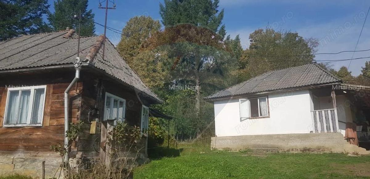 Casa si teren 1.6 ha de vanzare, in Rona de Jos - 1