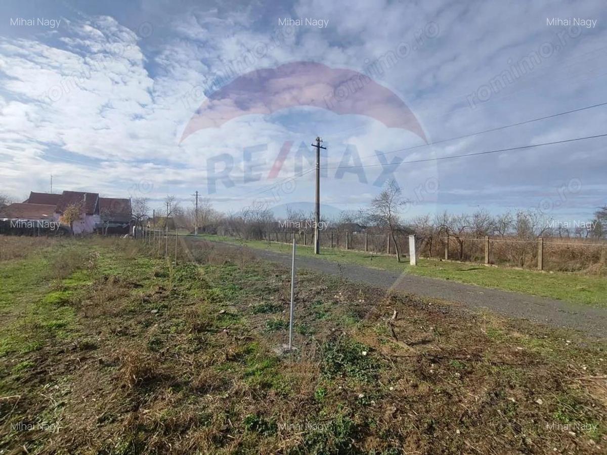 Teren intravilan - 4