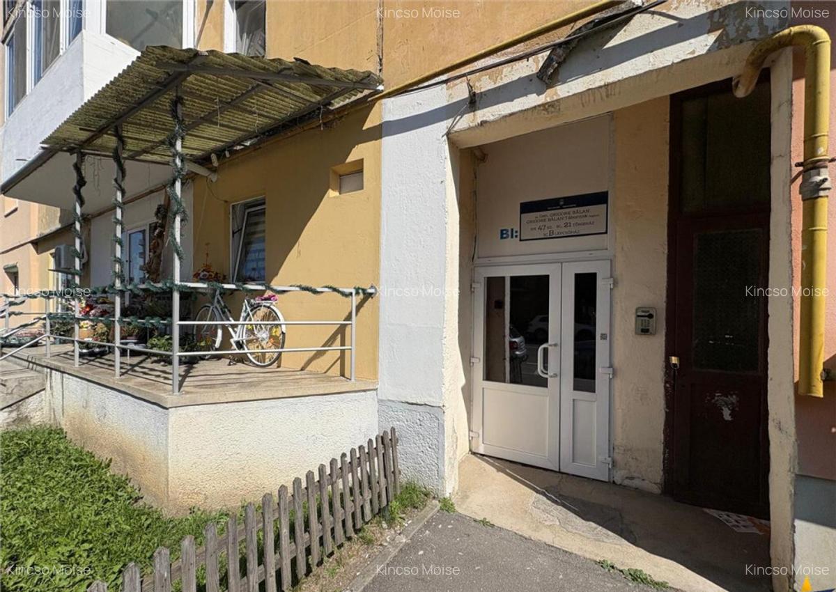 Mobilat si echipat, Lenin, Sfantu Gheorghe - 6