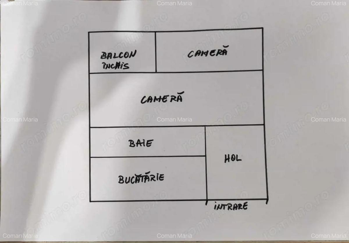 Apartament i^n 7 Noiembrie, pretabil cabinet, - 3