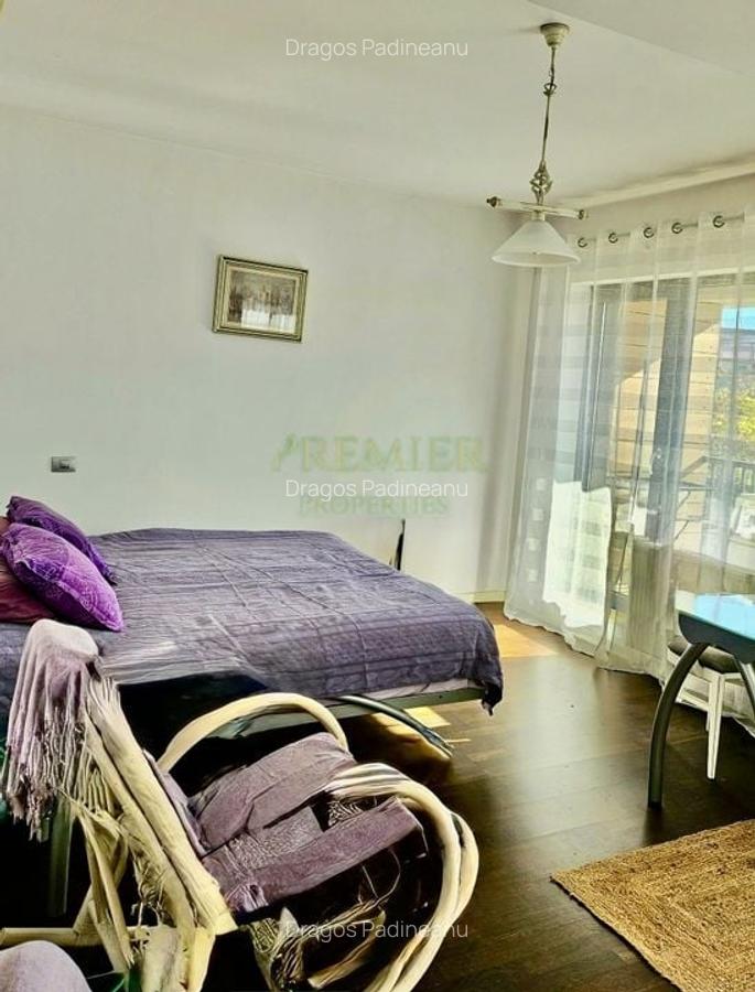 Baneasa Aerogarii de vanzare - 11