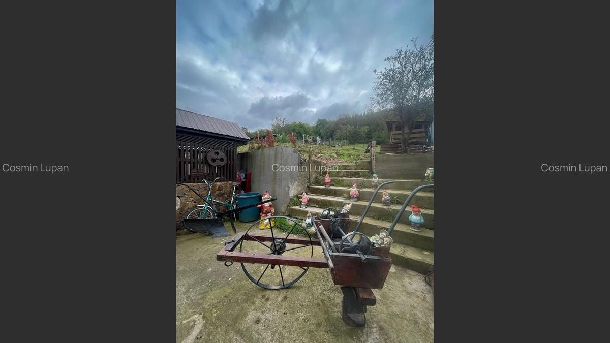 Casa la cheie, Poiana Golului - 8