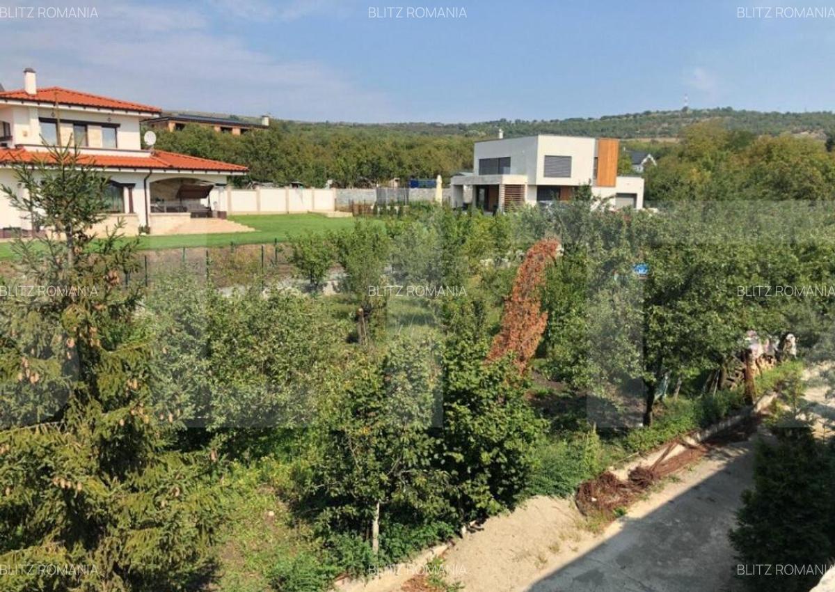 Teren intravilan 974 mp, zona dezvoltata de case, Dambu Rotu - 5