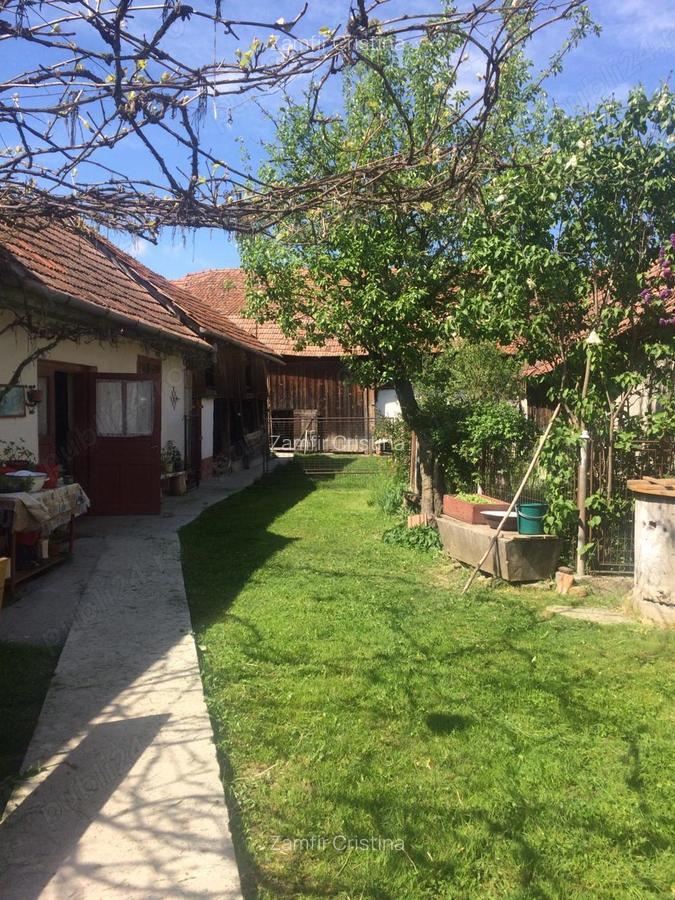 Vand casa - 5