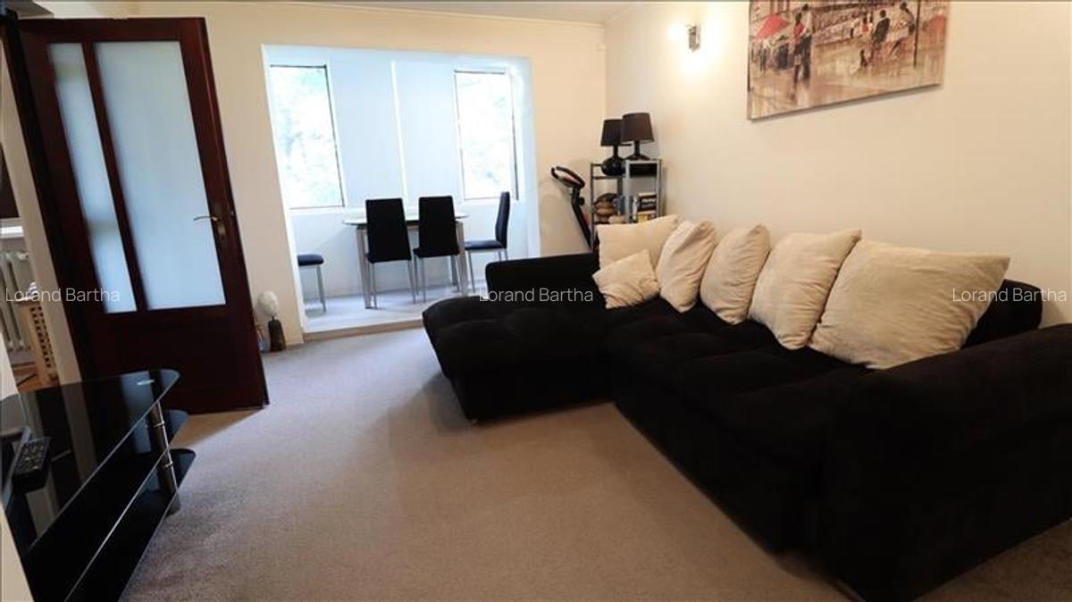 FILM&3D! Apartament luminos, 3 camere, mobilat, echipat, spatii verzi,Budai,Targ - 14