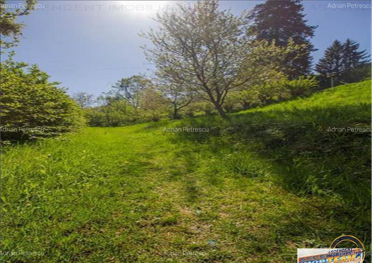 Resedinta distinctiva, pe domeniu de 2.200mp,cadru exclusivi - 8