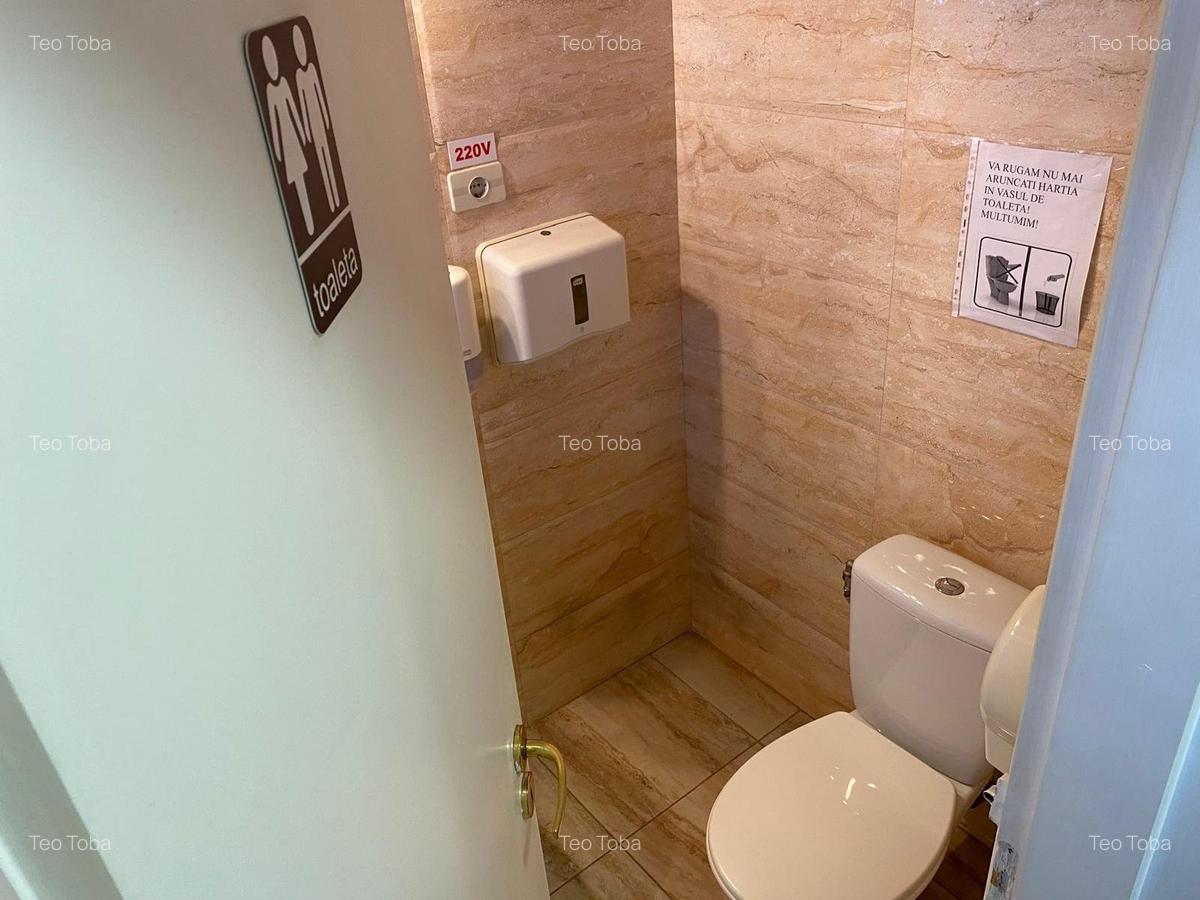 Inchiriere spatiu comercial P+1  230mp curte terasa ideal investitie Aviatorilor - 16