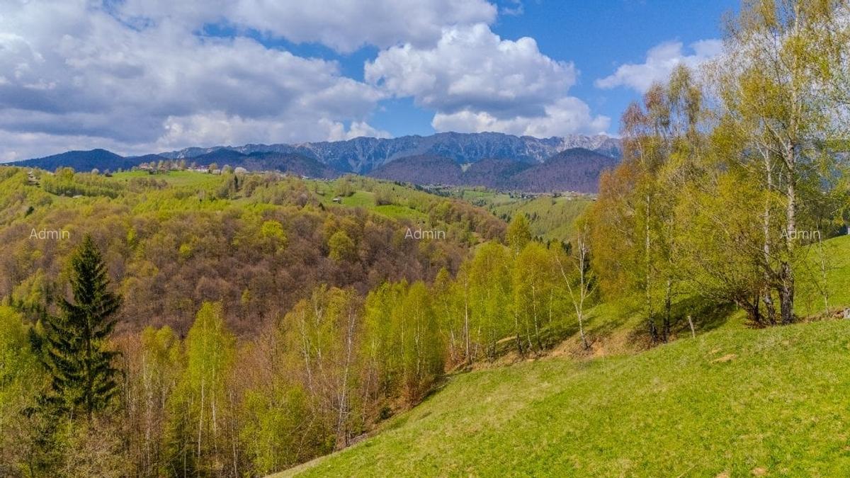 Teren de poveste, intru un sat de poveste Pestera/Moeciu/Brasov - 2